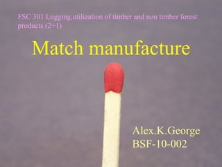 10,000 Matchsticks Matches Wooden Model Making Craft 10000 Match Splints