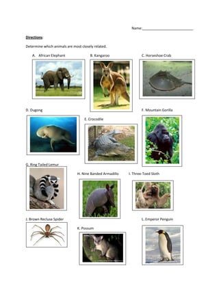 Name:__________________________

Directions:

Determine which animals are most closely related.

    A. African Elephant                B. Kangaroo                C. Horseshoe Crab




D. Dugong                                                         F. Mountain Gorilla

                                   E. Crocodile




G. Ring Tailed Lemur

                               H. Nine Banded Armadillo   I. Three-Toed Sloth




J. Brown Recluse Spider                                           L. Emperor Penguin

                               K. Possum
 