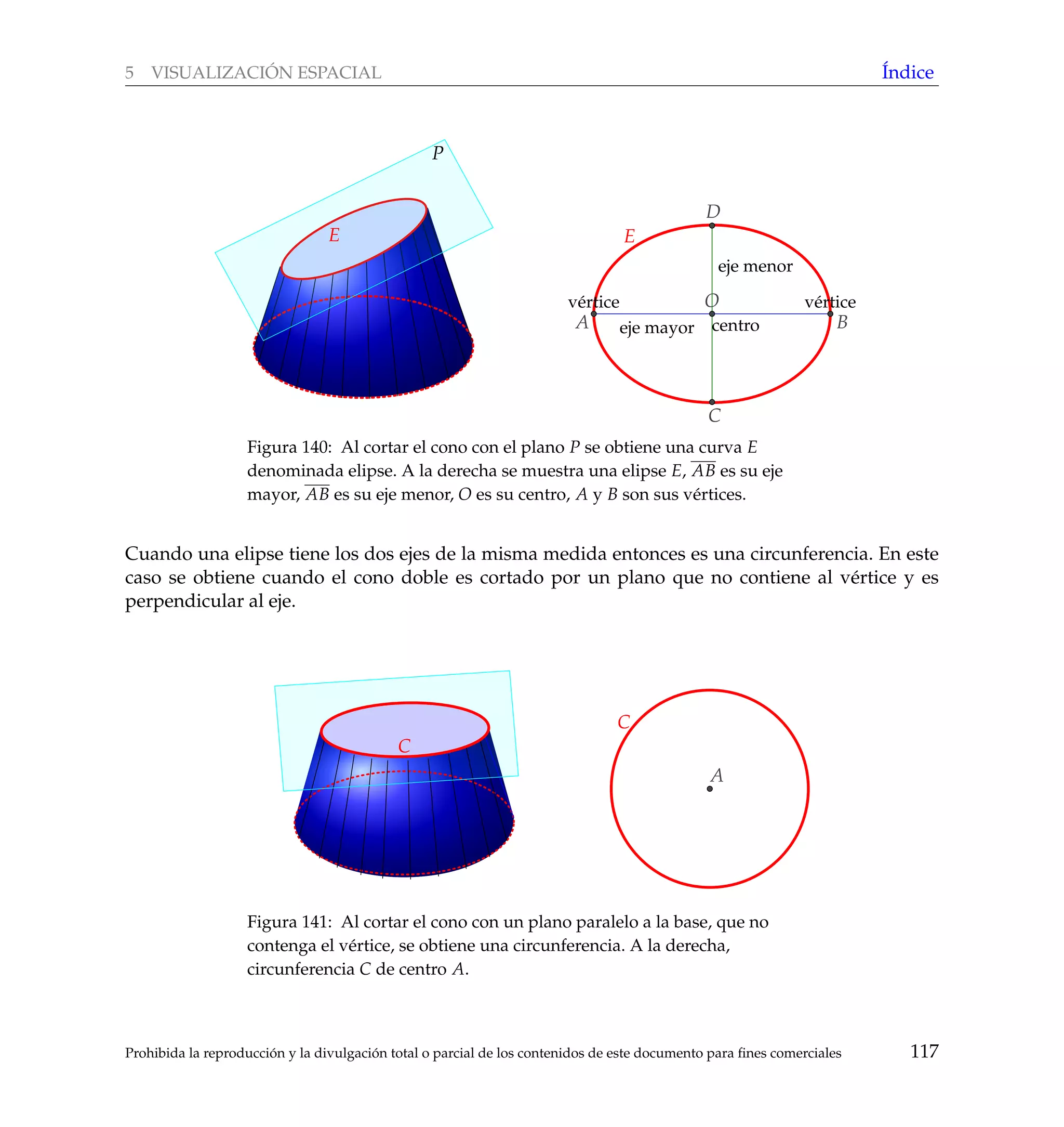 5 VISUALIZACI ´ON ESPACIAL ´Indice
P
E
eje mayor
eje menor
centro
v´erticev´ertice
E
BA
C
D
O
Figura 140: Al cortar el cono con el plano P se obtiene una curva E
denominada elipse. A la derecha se muestra una elipse E, AB es su eje
mayor, AB es su eje menor, O es su centro, A y B son sus v´ertices.
Cuando una elipse tiene los dos ejes de la misma medida entonces es una circunferencia. En este
caso se obtiene cuando el cono doble es cortado por un plano que no contiene al v´ertice y es
perpendicular al eje.
C
A
C
Figura 141: Al cortar el cono con un plano paralelo a la base, que no
contenga el v´ertice, se obtiene una circunferencia. A la derecha,
circunferencia C de centro A.
Prohibida la reproducci´on y la divulgaci´on total o parcial de los contenidos de este documento para ﬁnes comerciales 117
 