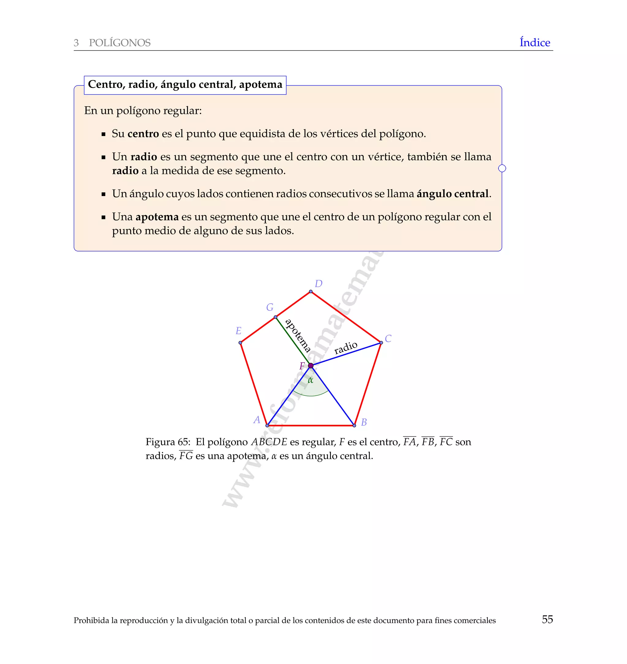 www.reformamatematica.net
3 POL´IGONOS ´Indice
En un pol´ıgono regular:
Su centro es el punto que equidista de los v´ertices del pol´ıgono.
Un radio es un segmento que une el centro con un v´ertice, tambi´en se llama
radio a la medida de ese segmento.
Un ´angulo cuyos lados contienen radios consecutivos se llama ´angulo central.
Una apotema es un segmento que une el centro de un pol´ıgono regular con el
punto medio de alguno de sus lados.
Centro, radio, ´angulo central, apotema
A B
C
D
E
F
G
radio
apotem
a
α
Figura 65: El pol´ıgono ABCDE es regular, F es el centro, FA, FB, FC son
radios, FG es una apotema, α es un ´angulo central.
Prohibida la reproducci´on y la divulgaci´on total o parcial de los contenidos de este documento para ﬁnes comerciales 55
 