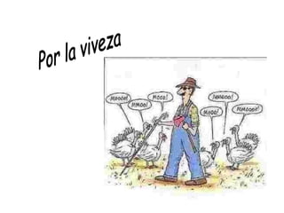 Por la viveza 