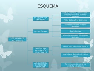ESQUEMA
LA DÉCIMA Y LA
CENTÉSIMA

Lectura, escritura, composición y
descomposición de números
decimales
Valor de las cifras decimales
Representación de números
decimales

LAS MILÉSIMAS

Equivalencias
Números decimales y fracciones
decimales

LOS NÚMEROS
NATURALES

Mayor que, menor que, igual a
COMPARACIÓN Y
ORDENACIÓN
DE DECIMALES

APROXIMACIÓN
DE NÚMEROS
DECIMALES

Intercala de decimal entre otros
dados

Aproximación de número a
unidad y a la décima

 