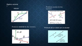 Álgebra vectorial
7
Adición
Producto de un vector por un escalar
Producto vectorial de dos vectores.
Producto escalar de d...