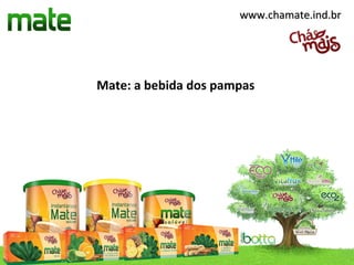 www.chamate.ind.br




Mate: a bebida dos pampas
 