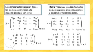 Matriz Diagonal Inferior Definiciones de matrices, tipos, ejemplos de cada tipopptx | PPTX