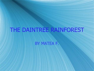 THE DAINTREE RAINFOREST BY MATEA F. 