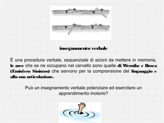 insegnamento verbale
È una procedura verbale, sequenziale di azioni da mettere in memoria,
le aree che se ne occupano nel cervello sono quelle di W
ernike e Broca
(Emisfero Sinistro) che servono per la comprensione del linguaggio e
alla sua articolazione.
Può un insegnamento verbale potenziare ed esercitare un
apprendimento motorio?

 