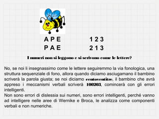 APE
PAE

123
213

I numeri non si leggono e si scrivono come le lettere?
No, se noi li insegnassimo come le lettere seguiremmo la via fonologica, una
struttura sequenziale di fono, allora quando diciamo asciugamano il bambino
scriverà la parola giusta; se noi diciamo centoventitre, il bambino che avrà
appreso i meccanismi verbali scriverà 100203, comincerà con gli errori
intelligenti.
Non sono errori di dislessia sui numeri, sono errori intelligenti, perché vanno
ad intelligere nelle aree di Wernike e Broca, le analizza come componenti
verbali e non numeriche.

 