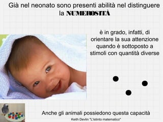 Già nel neonato sono presenti abilità nel distinguere
la NUMEROSITÀ
è in grado, infatti, di
orientare la sua attenzione
quando è sottoposto a
stimoli con quantità diverse

Anche gli animali possiedono questa capacità
Keith Devlin "L'istinto matematico"

 