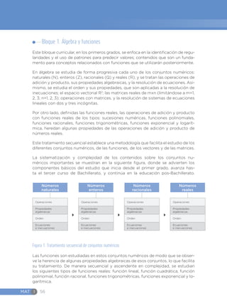 MAT I 56
Bloque 1. Álgebra y funciones
Este bloque curricular, en los primeros grados, se enfoca en la identificación de regu-
laridades y el uso de patrones para predecir valores; contenidos que son un funda-
mento para conceptos relacionados con funciones que se utilizarán posteriormente.
En álgebra se estudia de forma progresiva cada uno de los conjuntos numéricos:
naturales (N), enteros (Z), racionales (Q) y reales (R); y se tratan las operaciones de
adición y producto, sus propiedades algebraicas, y la resolución de ecuaciones. Asi-
mismo, se estudia el orden y sus propiedades, que son aplicadas a la resolución de
inecuaciones; el espacio vectorial R2
; las matrices reales de mxn (limitándose a m=1,
2, 3; n=1, 2, 3); operaciones con matrices, y la resolución de sistemas de ecuaciones
lineales con dos y tres incógnitas.
Por otro lado, definidas las funciones reales, las operaciones de adición y producto
con funciones reales de los tipos: sucesiones numéricas, funciones polinomiales,
funciones racionales, funciones trigonométricas, funciones exponencial y logarít-
mica, heredan algunas propiedades de las operaciones de adición y producto de
números reales.
Este tratamiento secuencial establece una metodología que facilita el estudio de los
diferentes conjuntos numéricos, de las funciones, de los vectores y de las matrices.
La sistematización y complejidad de los contenidos sobre los conjuntos nu-
méricos importantes se muestran en la siguiente figura, donde se advierten los
componentes básicos del estudio que inicia desde el primer grado, avanza has-
ta el tercer curso de Bachillerato, y continúa en la educación pos-Bachillerato.
Operaciones
Propiedades
algebraicas
Orden
Ecuaciones
e inecuaciones
Números
naturales
Operaciones
Propiedades
algebraicas
Orden
Ecuaciones
e inecuaciones
Números
enteros
Operaciones
Propiedades
algebraicas
Orden
Ecuaciones
e inecuaciones
Números
racionales
Operaciones
Propiedades
algebraicas
Orden
Ecuaciones
e inecuaciones
Números
reales
Figura 1. Tratamiento secuencial de conjuntos numéricos
Las funciones son estudiadas en estos conjuntos numéricos de modo que se obser-
ve la herencia de algunas propiedades algebraicas de esos conjuntos, lo que facilita
su tratamiento. De manera secuencial y ascendente en complejidad, se estudian
los siguientes tipos de funciones reales: función lineal, función cuadrática, función
polinomial, función racional, funciones trigonométricas, funciones exponencial y lo-
garítmica.
 