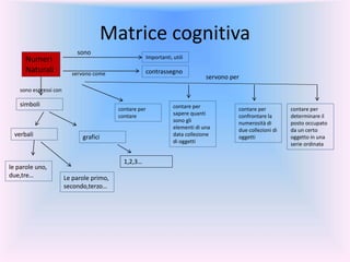 Matrice cognitiva
Numeri
Naturali
Importanti, utili
verbali
le parole uno,
due,tre…
contrassegno
simboli
Le parole primo,
secondo,terzo…
servono per
grafici
1,2,3…
sono
servono come
sono espressi con
contare per
contare
contare per
sapere quanti
sono gli
elementi di una
data collezione
di oggetti
contare per
confrontare la
numerosità di
due collezioni di
oggetti
contare per
determinare il
posto occupato
da un certo
oggetto in una
serie ordinata
 