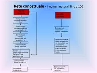 Rete concettuale - I numeri naturali fino a 100
Aspetto
cardinale
Aspetto
ordinale
Introduzione di
nome e simbolo dei
numeri da 0 a 9
Corrispondenza
biunivoca tra insiemi
finiti
Contare per
gruppi:raggruppamenti
del primo e del
secondo ordine
Costruzione di
successioni
ordinate di elementi
Ordinamento dei
numeri conosciuti
Confronto tra
numeri e
introduzione dei
simboli = > <
Determinazione del
posto occupato da
un elemento in una
successione
ordinata mediante
l’uso dei termini:
Primo, secondo,
terzo…
Confronto e
ordinamento
Costruzione dei
numeri da 0 a 100
Costruzione di N
con la relazione
“uno in più”
 