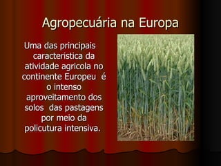 Agropecuária na Europa
 Uma das principais
    caracteristica da
 atividade agricola no
continente Europeu é
       o intenso
 aproveitamento dos
 solos das pastagens
      por meio da
 policutura intensiva.
 