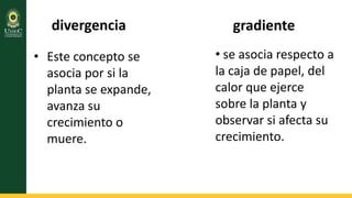divergencia
• Este concepto se
asocia por si la
planta se expande,
avanza su
crecimiento o
muere.

gradiente
• se asocia respecto a
la caja de papel, del
calor que ejerce
sobre la planta y
observar si afecta su
crecimiento.

 