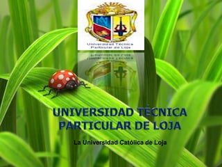 UNIVERSIDAD TÉCNICA PARTICULAR DE LOJA La Universidad Católica de Loja 