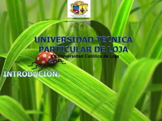 UNIVERSIDAD TECNICA PARTICULAR DE LOJALa Universidad Católica de LojaINTRODUCIÓN: