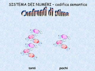 SISTEMA DEI NUMERI – codifica semantica
tanti pochi
 