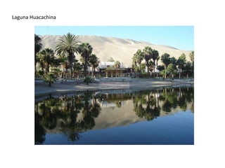 Laguna Huacachina
 