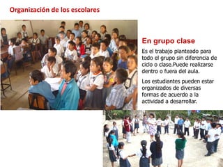 Organización de los escolares
Fotografía: Gisella Namuche
Es el trabajo planteado para
todo el grupo sin diferencia de
cic...