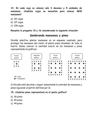 14. En cada caja se colocan solo 3 decenas y 5 unidades de
manzanas. ¿Cuántas cajas se necesitan para colocar 4830
manzanas?
a) 161 cajas
b) 117 cajas
c) 138 cajas
Resuelve la pregunta 15 y 16 considerando la siguiente situación:
Sembrando manzanos y pinos
Nicolás planifica plantar manzanos en un esquema cuadrado, para
proteger los manzanos del viento, él planta pinos alrededor de todo el
huerto. Desea conocer la cantidad exacta de los manzanos y pinos
representando en gráficos:
Si Nicolás está decidido a seguir aumentando la cantidad de manzanos y
pinos siguiendo el patrón definido por él.
15. ¿Cuántos pinos representará en el quinto gráfico?
a) 36 pinos
b) 40 pinos
c) 44 pinos
Primer
gráfico
Segundo
gráfico
Tercer
gráfico
Cuarto
gráfico
 