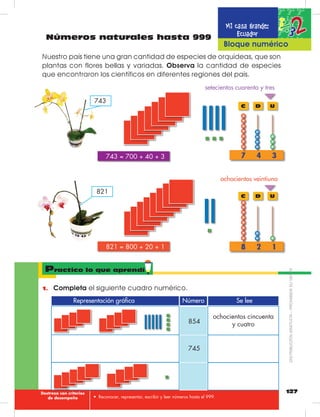 127
Mi casa grande:
Ecuador
•	 Reconocer, representar, escribir y leer números hasta el 999.
Números naturales hasta 999
Bloque numérico
Nuestro país tiene una gran cantidad de especies de orquídeas, que son
plantas con flores bellas y variadas. Observa la cantidad de especies
que encontraron los científicos en diferentes regiones del país.
    743 = 700 + 40 + 3     
setecientos cuarenta y tres
    821 = 800 + 20 + 1     
7 4 3
D UC
ochocientos veintiuno
8 2 1
D UC
743
821
Practico lo que aprendí
1.	 Completa el siguiente cuadro numérico.
Representación gráfica Se leeNúmero
854
745
ochocientos cincuenta
y cuatro
Destreza con criterios
de desempeño
DISTRIBUCIÓNGRATUITA–PROHIBIDASUVENTA
 