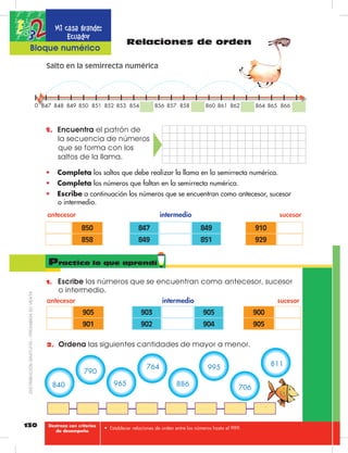 130
Relaciones de orden
Salto en la semirrecta numérica
847 848 849 850 851 852 853 854 856 857 858 860 861 862 864 865 866
•	 Completa los saltos que debe realizar la llama en la semirrecta numérica.
•	 Completa los números que faltan en la semirrecta numérica.
•	 Escribe a continuación los números que se encuentran como antecesor, sucesor
o intermedio.
1.	 Encuentra el patrón de
la secuencia de números
que se forma con los
saltos de la llama.
850
858
849
851
847
849
910
929
antecesor intermedio sucesor
1.	 Escribe los números que se encuentran como antecesor, sucesor
o intermedio.
905
901
905
904
903
902
900
905
antecesor intermedio sucesor
Practico lo que aprendí
•	 Establecer relaciones de orden entre los números hasta el 999.
0
2.	 Ordena las siguientes cantidades de mayor a menor.
840
790
965
764
886
995
706
811
Mi casa grande:
Ecuador
Bloque numérico
Destreza con criterios
de desempeño
DISTRIBUCIÓNGRATUITA–PROHIBIDASUVENTA
 