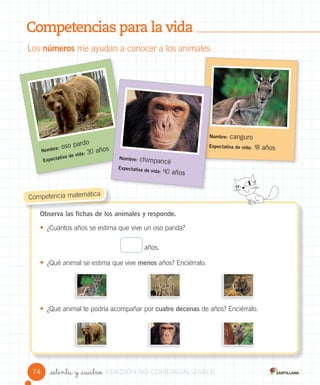 Competencias para la vida
_setenta y _cuatro
Los números me ayudan a conocer a los animales
Observa las fichas de los animales y responde.
• ¿Cuántos años se estima que vive un oso panda?
años.
• ¿Qué animal se estima que vive menos años? Enciérralo.
• ¿Qué animal te podría acompañar por cuatro decenas de años? Enciérralo.
Competencia matemática
Nombre: oso pardo
Expectativa de vida: 30 años
Nombre: canguro
Expectativa de vida: 18 años
Nombre:
Expectativa de vida:
Nombre: chimpancé
Expectativa de vida: 40 años
74 VERSIÓNVERSIÓNVERSIÓNVERSIÓNVERSIÓNVERSIÓNVERSIÓNVERSIÓNVERSIÓN NONONONONO COMERCIALIZABLECOMERCIALIZABLECOMERCIALIZABLECOMERCIALIZABLECOMERCIALIZABLECOMERCIALIZABLECOMERCIALIZABLECOMERCIALIZABLECOMERCIALIZABLECOMERCIALIZABLECOMERCIALIZABLECOMERCIALIZABLECOMERCIALIZABLECOMERCIALIZABLECOMERCIALIZABLECOMERCIALIZABLECOMERCIALIZABLE
 