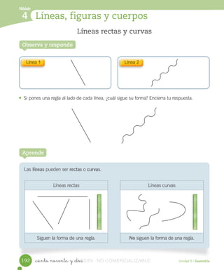 Módulo
Líneas, figuras y cuerpos4
Líneas rectas y curvas
Observa y responde
• Si	pones	una	regla	al	lado	de	cada	línea,	¿cuál	sigue	su	forma?	Encierra	tu	respuesta.
Unidad 5 / Geometría_ciento noventa y _dos
Las	líneas	pueden	ser	rectas	o	curvas.
Aprende
Líneas	curvas
No	siguen	la	forma	de	una	regla.
Líneas	rectas	
Siguen	la	forma	de	una	regla.
Línea	1 Línea	2
192 VERSIîN_ciento noventa y _dosVERSIîN_ciento noventa y _dos NO COMERCIALIZABLE
 