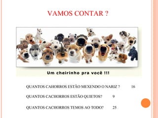 VAMOS CONTAR ? QUANTOS CAHORROS ESTÃO MEXENDO O NARIZ ? QUANTOS CACHORROS ESTÃO QUIETOS? QUANTOS CACHORROS TEMOS AO TODO? 16 9 25 