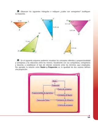 189
CA
E
10,48 cm
90°
30°
D
S
M
100°44,2°
12 cm
Observen los siguientes triángulos e indiquen ¿cuáles son semejantes? Justifiquen
su respuesta.
O
Q
P
49,2°
49,2°
6,43 cm
4,11 cm
N J
R
100°
44,2°
6 cm
L
G K
90°60°
5,24 cm
En el siguiente esquema podemos visualizar los conceptos referidos a proporcionalidad
y semejanza y las relaciones entre los mismos. Socialícenlo con sus compañeras, compañeros
y docente, y establezcan el tipo de relación existente entre los términos aquí empleados.
Por ejemplo, la relación entre Razón y Proporción es: la igualdad de dos razones definen
una proporción.
Por ejemplo, la relación entre Razón y Proporción es: la igualdad de dos razones definen
una proporción.
 