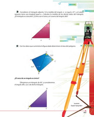 203
Consideren el triángulo adjunto. Si la medida del ángulo α es igual a 45° y el cateto
opuesto tiene una longitud igual a x. Calculen la medida de los demás lados del triángulo.
¿El triángulo es isósceles? ¿Cómo son el seno y el coseno del ángulo alfa?
Con los datos que suministra la figura dada determinen el área del polígono.
Teodolito
Equipo topográfico
¿El seno de un ángulo es único?
Dibujemos un triángulo ABCABC, y consideremos
el ángulo alfa ( α ) de dicho triángulo.el ángulo alfa ( α ) de dicho triángulo.
A C
B
α
A C
x
B
α = 45°
D
2,83
4,47
γ = 63,43°
ω = 45°
C
B
A
203
Consideren el triángulo adjunto. Si la medida del ángulo α es igual a 45° y el cateto
. Calculen la medida de los demás lados del triángulo.
¿El triángulo es isósceles? ¿Cómo son el seno y el coseno del ángulo alfa?
Con los datos que suministra la figura dada determinen el área del polígono.
Teodolito
Equipo topográfico
, y consideremos
C
 