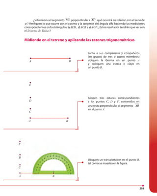 205
¿Si trazamos el segmento FG perpendicular a AC , qué ocurrirá en relación con el seno de
α ? Verifiquen lo que ocurre con el coseno y la tangente del ángulo alfa haciendo las mediciones
correspondientes en los triángulos ABCAED, ABCACB y ABCAGF. ¿Estos resultados tendrán que ver con
el Teorema de Thales?
Midiendo en el terreno y aplicando las razones trigonométricas
Junto a sus compañeras y compañeros
(en grupos de tres o cuatro miembros)
ubiquen la Groma en un punto A
y coloquen una estaca o clavo en
un punto B.
A
A
A
C
C
D
D
E
E
B
B
B
Alineen tres estacas correspondientes
a los puntos C, D y F, contenidos en
una recta perpendicular al segmento AB
en el punto A.
Ubiquen un transportador en el punto B,
tal como se muestra en la figura.
 