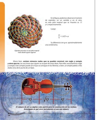 2828
Espirales presentes en una piña tropical
vistos desde la parte superior
Ahora bien, existen números reales que se pueden construir con regla y compás
y otros que no. Las secciones que siguen se ocupan de estas ideas. Para ellas necesitaremos regla
y compás. Este compás puede ser el que se consigue en las librerías, o bien, un simple pabilo o hilo
atado cerca de la punta de un lápiz.
En la figura, podemos observar el número
de espirales, en un sentido y en el otro,
en esta piña tropical que se muestra es 13
y 8, respectivamente.
Luego:
13
1,625
8
ϕ= ≈
Su diferencia con φ es aproximadamente
una centénsima.
28
 