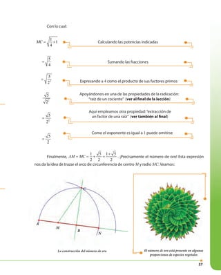 37
A
M
B
N
C
Calculando las potencias indicadas
Sumando las fracciones
Con lo cual:
1
1
4
MC = +
5
4
=
2
5
2
=
2
5
2
2
2
5
2
=
5
2
=
Finalmente,
1 5 1 5
2 2 2
AM MC
+
+ = + = . ¡Precisamente el número de oro! Esta expresión
nos da la idea de trazar el arco de circunferencia de centro M y radio MC. Veamos:
El número de oro está presente en algunas
proporciones de especies vegetales
La construcción del número de oro
Expresando a 4 como el producto de sus factores primos
Apoyándonos en una de las propiedades de la radicación:
“raíz de un cociente” (ver al final de la lección)
Como el exponente es igual a 1 puede omitirse
Aquí empleamos otra propiedad:“extracción de
un factor de una raíz” (ver también al final)
 