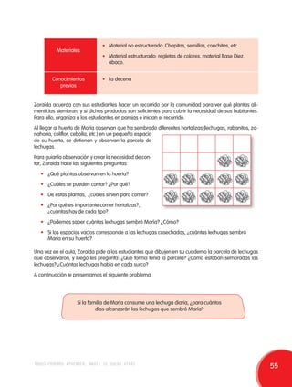 Materiales 
• Material no estructurado: Chapitas, semillas, conchitas, etc. 
• Material estructurado: regletas de colores, material Base Diez, 
ábaco. 
Conocimientos 
previos 
• La decena 
Zoraida acuerda con sus estudiantes hacer un recorrido por la comunidad para ver qué plantas ali-menticias 
siembran, y si dichos productos son suficientes para cubrir la necesidad de sus habitantes. 
Para ello, organiza a los estudiantes en parejas e inician el recorrido. 
Al llegar al huerto de María observan que ha sembrado diferentes hortalizas (lechugas, rabanitos, za-nahoria, 
coliflor, cebolla, etc.) en un pequeño espacio 
de su huerta, se detienen y observan la parcela de 
lechugas. 
Para guiar la observación y crear la necesidad de con-tar, 
Zoraida hace las siguientes preguntas: 
• ¿Qué plantas observan en la huerta? 
• ¿Cuáles se pueden contar? ¿Por qué? 
• De estas plantas, ¿cuáles sirven para comer? 
• ¿Por qué es importante comer hortalizas?, 
¿cuántas hay de cada tipo? 
• ¿Podemos saber cuántas lechugas sembró María? ¿Cómo? 
• Si los espacios vacíos corresponde a las lechugas cosechadas, ¿cuántas lechugas sembró 
María en su huerta? 
Una vez en el aula, Zoraida pide a los estudiantes que dibujen en su cuaderno la parcela de lechugas 
que observaron, y luego les pregunta: ¿Qué forma tenía la parcela? ¿Cómo estaban sembradas las 
lechugas? ¿Cuántas lechugas había en cada surco? 
A continuación te presentamos el siguiente problema. 
Si la familia de María consume una lechuga diaria, ¿para cuántos 
días alcanzarán las lechugas que sembró María? 
todos podemos aprender, nadie se queda atrás 55 
 