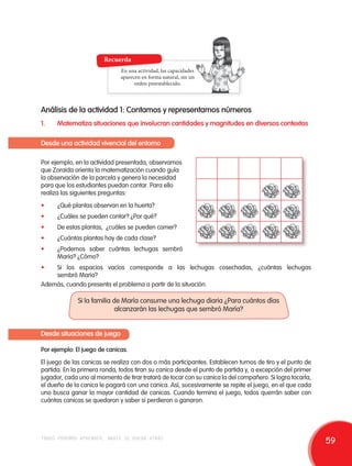Recuerda 
En una actividad, las capacidades 
aparecen en forma natural, sin un 
orden preestablecido. 
Análisis de la actividad 1: Contamos y representamos números 
1. Matematiza situaciones que involucran cantidades y magnitudes en diversos contextos 
Desde una actividad vivencial del entorno 
Por ejemplo, en la actividad presentada, observamos 
que Zoraida orienta la matematización cuando guía 
la observación de la parcela y genera la necesidad 
para que los estudiantes puedan contar. Para ello 
realiza las siguientes preguntas: 
• ¿Qué plantas observan en la huerta? 
• ¿Cuáles se pueden contar? ¿Por qué? 
• De estas plantas, ¿cuáles se pueden comer? 
• ¿Cuántas plantas hay de cada clase? 
• ¿Podemos saber cuántas lechugas sembró 
María? ¿Cómo? 
• Si los espacios vacíos corresponde a las lechugas cosechadas, ¿cuántas lechugas 
sembró María? 
Además, cuando presenta el problema a partir de la situación. 
Si la familia de María consume una lechuga diaria ¿Para cuántos días 
alcanzarán las lechugas que sembró María? 
Desde situaciones de juego 
Por ejemplo: El juego de canicas. 
El juego de las canicas se realiza con dos o más participantes. Establecen turnos de tiro y el punto de 
partida. En la primera ronda, todos tiran su canica desde el punto de partida y, a excepción del primer 
jugador, cada uno al momento de tirar tratará de tocar con su canica la del compañero. Si logra tocarla, 
el dueño de la canica le pagará con una canica. Así, sucesivamente se repite el juego, en el que cada 
uno busca ganar la mayor cantidad de canicas. Cuando termina el juego, todos querrán saber con 
cuántas canicas se quedaron y saber si perdieron o ganaron. 
todos podemos aprender, nadie se queda atrás 59 
 