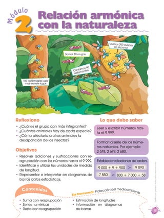 19
Distribucióngratuita-Prohibidasureproducción
Reﬂexiono
¿Cuál es el grupo con más integrantes?
¿Cuántos animales hay de cada especie?
¿Cómo afectaría a otros animales la
desaparición de los insectos?
Objetivos
Resolver adiciones y sustracciones con re-
agrupación con los números hasta el 9 999.
Identiﬁcar y utilizar las unidades de medida
de longitud.
Representar e interpretar en diagramas de
barras datos estadísticos.
2
Módulo
Relación armónica
con la naturaleza
Lo que debo saber
9 000 + 9 + 900 9 090>
<7 850 800 + 7 000 + 58
Leer y escribir números has-
ta el 9 999.
Formar la serie de los núme-
ros naturales. Por ejemplo:
2 678, 2 679, 2 680.
Establecer relaciones de orden.
Eje transversal: Protección del medioambiente
Suma con reagrupación
Series numéricas
Resta con reagrupación
Estimación de longitudes
Información en diagramas
de barras
Contenidos
Somos 80 orugas.
105 luciérnagas juga-
mos en este lugar.
Cantamos 90
saltamontes.
Vivimos 200 avispas
en el panal.
 