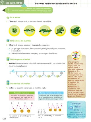 BLOQUE DE álGEBRA Y FUNCIONES6
150
Patrones numéricos con la multiplicación
Destreza con criterios de desempeño:
Describir y reproducir patrones numéricos crecientes con la suma
y la multiplicación.
Si lo sabes, me cuentas
2.	 Observo la imagen anterior y contesto las preguntas.
✓✓ ¿En qué lugar se encuentra el renacuajo más grade? ¿En qué lugar se encuentra
el sapo adulto?
✓✓ ¿Por qué son indispensables los sapos y las ranas para el ambiente?
Ya lo sabes
1.	 Observo la secuencia de la metamorfosis de un anfibio.
Construyendo el saber
3.	 Analizo cómo aumenta el valor de la semirrecta numérica, de acuerdo con
el patrón multiplicativo.
0 5 10 20 40 80 160
2 2 2 2 2
Contenidos a tu mente
4.	 Defino la sucesión numérica y su patrón o regla.
Sucesión numérica
Secuencia de números, ordenada
de acuerdo a una regla, ley de
formación o patrón.
La sucesión es creciente por la
multiplicación.
Patrón numérico creciente
Constante que al ser multiplicada
a un número anterior determina el
siguiente número, con mayor valor.
El 3 es constante y su operador
es .
2 1 3 9 274 8 16
1  3 = 3
3  3 = 9
9  3 = 27
2
3 3 3
2 2
BUENvivir
Una rana pone
10 000 huevos entre
mayo y junio, en
lugares donde el
agua esté estancada.
Después de 8 o
10 días nacen los
renacuajos. Las ranas
adultas y los sapos
se alimentan de
insectos, manteniendo
el equilibrio del
ecosistema.
Fomentemos el
cuidado de estos
animalitos para que
no se extingan, como
ocurrió con el jambato,
propio del Ecuador.
Descubre más de
sucesiones numéricas en:
http://goo.gl/1n4wmP
Tu mundo
digital
 