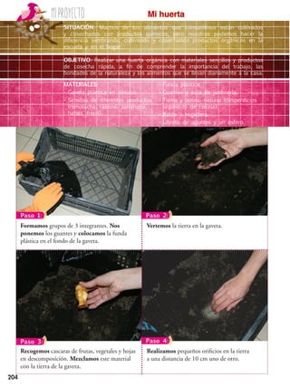 204
Miproyecto Mi huerta
Vertemos la tierra en la gaveta.Formamos grupos de 3 integrantes. Nos
ponemos los guantes y colocamos la funda
plástica en el fondo de la gaveta.
Realizamos pequeños orificios en la tierra
a una distancia de 10 cm uno de otro.
Recogemos cascaras de frutas, vegetales y hojas
en descomposición. Mezclamos este material
con la tierra de la gaveta.
Paso 1: Paso 2:
Paso 3: Paso 4:
SITUACIÓN: Muchos de los alimentos que consumimos están cultivados
y cosechados con productos químicos, pero nosotros podemos hacer la
diferencia sembrando, cultivando y cosechando productos orgánicos en la
escuela y en el hogar.
OBJETIVO: Realizar una huerta orgánica con materiales sencillos y productos
de cosecha rápida, a fin de comprender la importancia del trabajo, las
bondades de la naturaleza y los alimentos que se llevan diariamente a la casa.
MATERIALES:
•	Gaveta plástica en desuso.
•	Semillas de diferentes productos
(remolacha, rábano, zanahoria,
habas, fréjol).
•	Funda plástica.
•	Guantes y pala de jardinería.
•	Tierra y abono natural (desperdicios
orgánicos de cocina).
•	Balde o regadera.
•	Libreta de apuntes y un esfero.
 