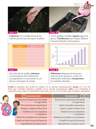 205
Evalúo el proyecto que acabo de realizar. En la sección Autoevaluación, pongo un ✓ en los
ítems que considero haberlos cumplido. En la sección Coevaluación, pido a un compañero o
compañera que evalúe mi desempeño marcando con un ✓ en los ítems que considere apropiados.
Autoevaluación Coevaluación
Reconocí la importancia del trabajo
y la agricultura.
Reconoció la importancia del trabajo
y la agricultura.
Usé conocimientos matemáticos. Aplicó contenidos matemáticos.
Prediqué y apliqué el Buen Vivir. Aplicó y predicó el Buen Vivir.
Colaboré con mis compañeros
y compañeras.
Colaboró con sus compañeros
y compañeras.
Realicé las actividades con entusiasmo. Realizó las actividades con entusiasmo.
Cumplí con todos los pasos del proyecto. Cumplió los pasos del proyecto.
Aprendí hacer un huerto casero. Aprendió hacer un huerto casero.
Con la regadera o el balde, regamos agua en la
gaveta. Consideramos que siempre debemos
mantener húmedas nuestras plantas.
Colocamos 2 o 3 semillas dentro de los
orificios, pero de una sola especie de planta.
Para cada tipo de semilla, realizamos
un levantamiento de la información
correspondiente a su crecimiento en cm,
durante varios lapsos de tiempo.
Paso 5: Paso 6:
Paso 7: Paso 8:
Miproyecto
Tiempo Altura en cm
Altura
Tiempo
0
5
10
15
20
Elaboramos diagramas de barras para
cada uno de los productos, en base a la
información recolectada e interpretamos
los resultados obtenidos.
 