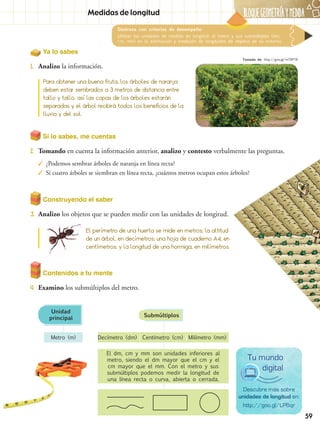 BLOQUEGEOMetríaymedida
59
Contenidos a tu mente
4.	 Examino los submúltiplos del metro.
Destreza con criterios de desempeño:
Utilizar las unidades de medida de longitud: el metro y sus submúltiplos (dm,
cm, mm) en la estimación y medición de longitudes de objetos de su entorno.
Medidas de longitud
Descubre más sobre
unidades de longitud en:
http://goo.gl/LP6qr
Tu mundo
digital
El dm, cm y mm son unidades inferiores al
metro, siendo el dm mayor que el cm y el
cm mayor que el mm. Con el metro y sus
submúltiplos podemos medir la longitud de
una línea recta o curva, abierta o cerrada.
Metro (m) Decímetro (dm) Centímetro (cm) Milímetro (mm)
Unidad
principal
Submúltiplos
Si lo sabes, me cuentas
2.	 Tomando en cuenta la información anterior, analizo y contesto verbalmente las preguntas.
✓✓ ¿Podemos sembrar árboles de naranja en línea recta?
✓✓ Si cuatro árboles se siembran en línea recta, ¿cuántos metros ocupan estos árboles?
Construyendo el saber
3.	 Analizo los objetos que se pueden medir con las unidades de longitud.
Para obtener una buena fruta, los árboles de naranja
deben estar sembrados a 3 metros de distancia entre
tallo y tallo, así las copas de los árboles estarán
separadas y el árbol recibirá todos los beneficios de la
lluvia y del sol.
El perímetro de una huerta se mide en metros; la altitud
de un árbol, en decímetros; una hoja de cuaderno A4, en
centímetros; y la longitud de una hormiga, en milímetros.
Ya lo sabes
1.	 Analizo la información.
Tomado de: http://goo.gl/mTDP78
 
