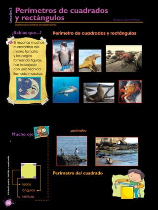 Lección 3                 Perímetros de cuadrados
                                                     y rectángulos      ...