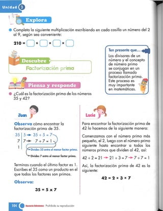 Matematica 5 susaeta