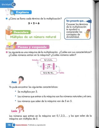 Matematica 5 susaeta