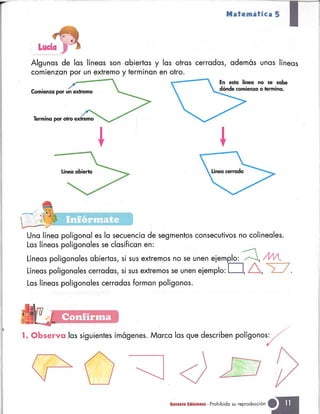 Matematica 5 susaeta