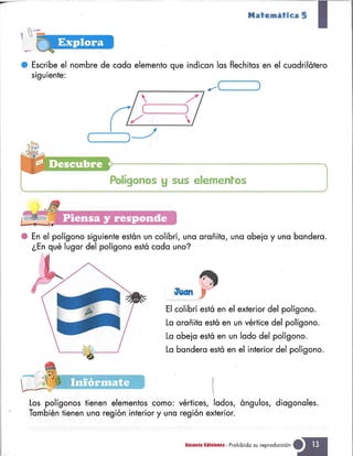 Matematica 5 susaeta