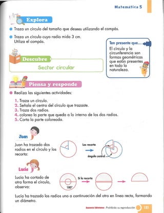 Matematica 5 susaeta