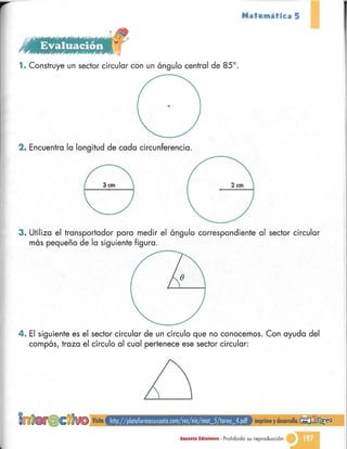 Matematica 5 susaeta