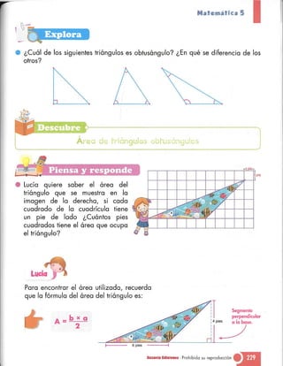 Matematica 5 susaeta