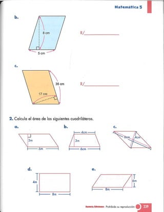 Matematica 5 susaeta